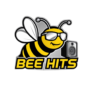Bee Hits | Sua colmeia musical